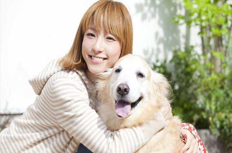 犬を可愛がる飼い主
