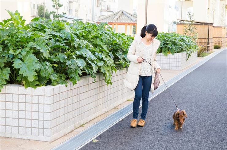 お外でお散歩